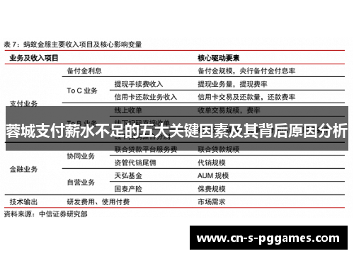 蓉城支付薪水不足的五大关键因素及其背后原因分析