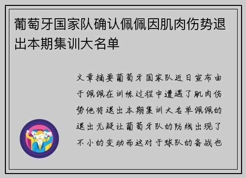 葡萄牙国家队确认佩佩因肌肉伤势退出本期集训大名单